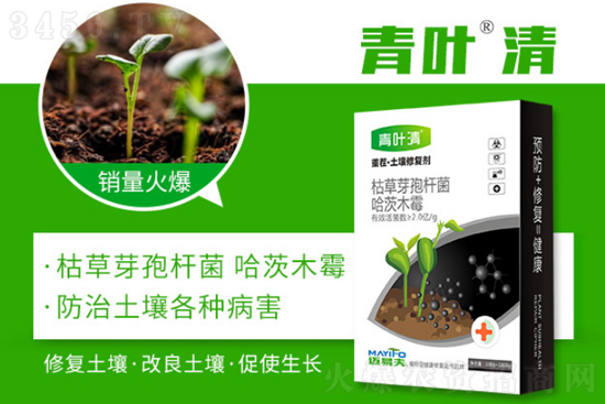 土壤问题严重,作物黑根、烂根、死棵频频发生!用这个方法全搞定! 土壤问题严重,作物黑根、烂根、死棵频频发生!用这个方法全搞定!